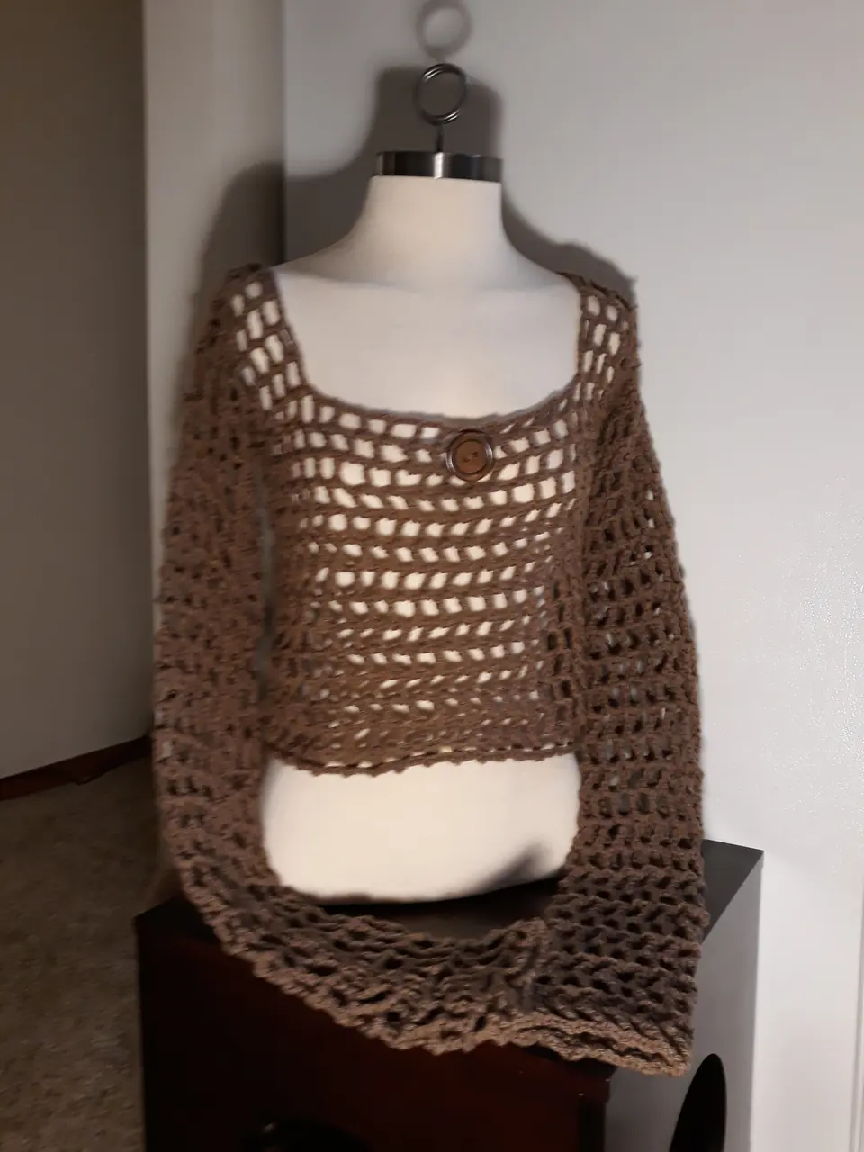 Brown Mesh Crop Sweater with Button